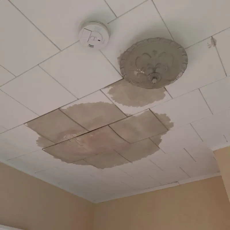 Ceiling Water Damage Repair in Fayette County, PA