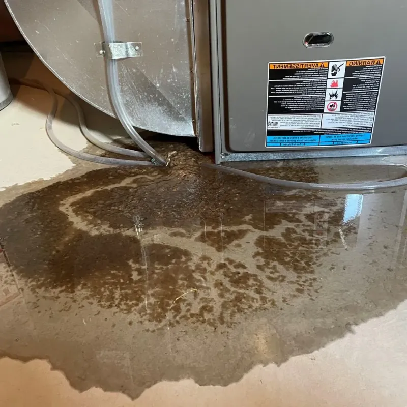Pipe Burst and Leak Restoration in Fayette County, PA