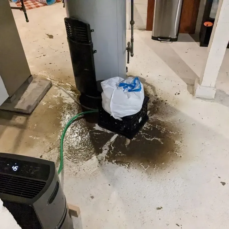 Sewage Backup Cleanup Service in Fayette County, PA